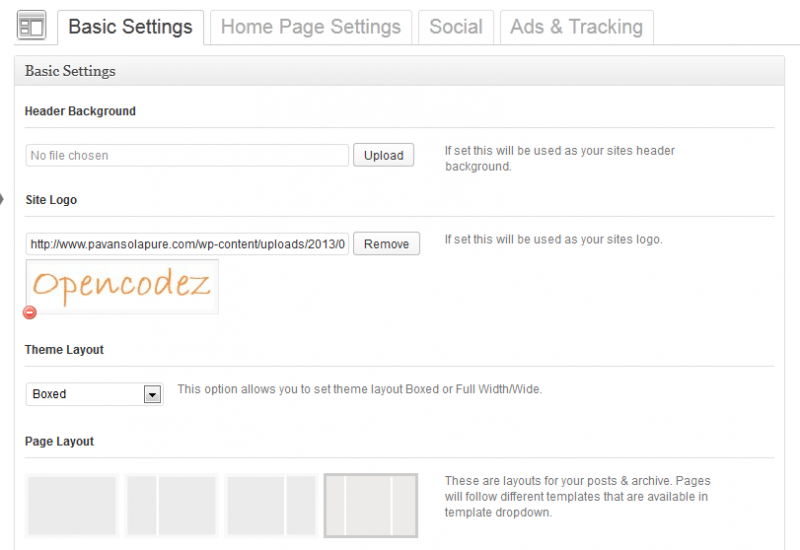 How to add Options Framework to WordPress Theme | TheCoders.vn